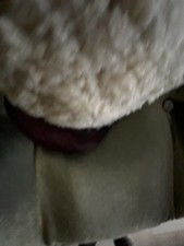 Mütze Schwedische Armee