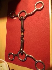 ISLÄNDER ODER PONY  GEBISS