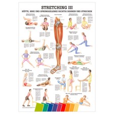 Stretching iii mini poster - stretching,