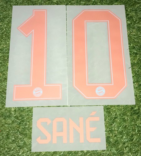 Leroy sane flock - sane, in