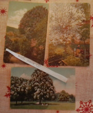 Dachbodenfund  Ansichtskarten