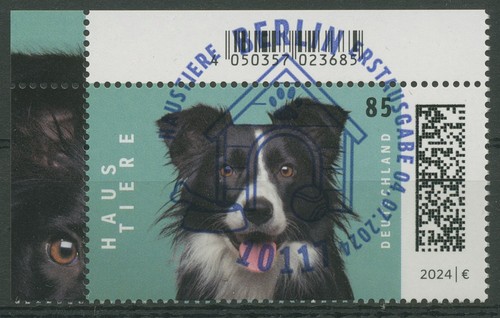 Bund 2024 haustiere hund - bund,