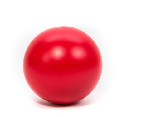 Treibball treib ball für - ball,
