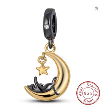 Charms Anhänger für Pandora