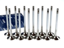 TRW 12x Auslassventil