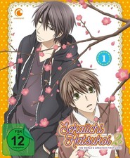 Sekaiichi Hatsukoi - Staffel 2