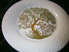 Hutschenreuther Scala Paradiso