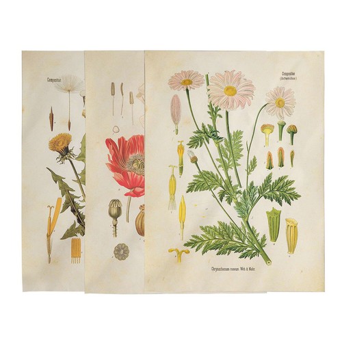 Stücke tapisserie - stücke,
