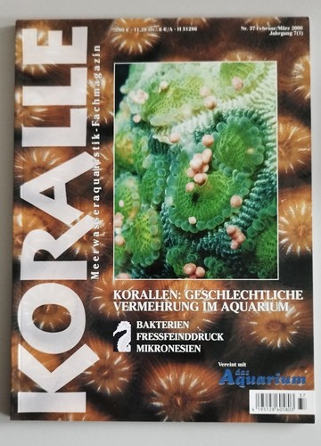 Koralle 37 korallen - koralle, nr.