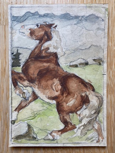 Springendes pferd kleines - pferd.,