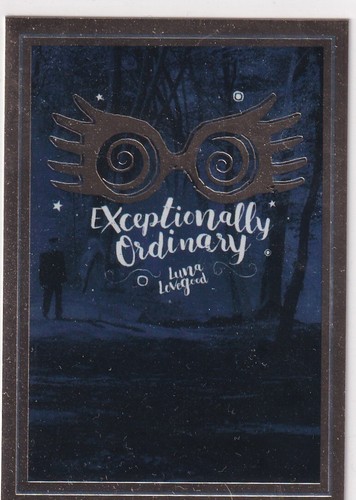 Panini harry potter welcome - harry, to