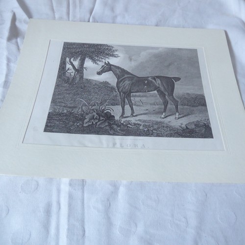 Antiker kupfer stahlstich - /,