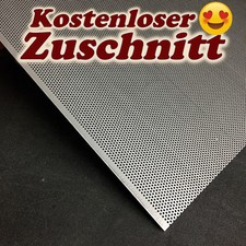 Lochblech Edelstahl blank