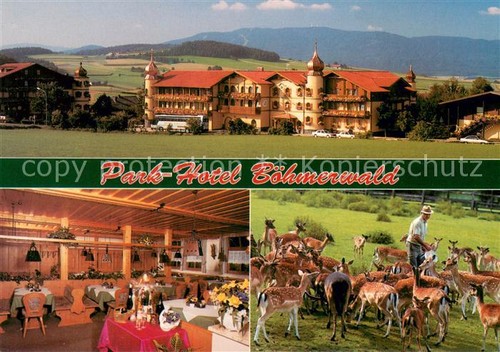 Warzenried park hotel - park,