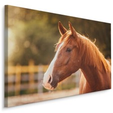 Leinwand Bild CANVAS WANDBILD