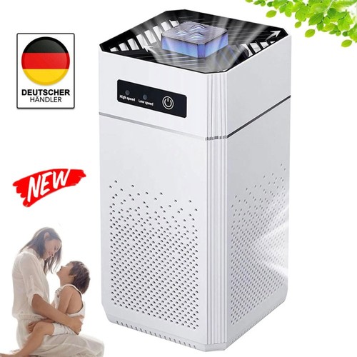Air purifier allergy sufferers