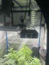 Grow Zelt 90x90x180 led 200
