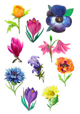 10 Aquarell Blumen Stanzteile