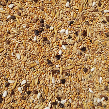 Supravit Agaporniden & Neophemafutter 5kg I abwechslungsreiche Mischung 