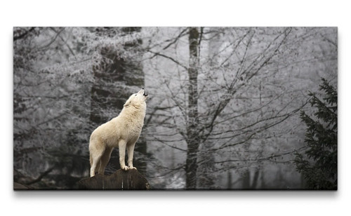120x60cm leinwandbild weißer - 120x60cm,