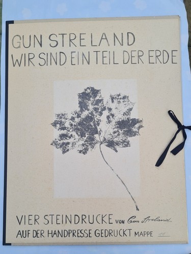 Gun streland bilder mappe - gun, mit