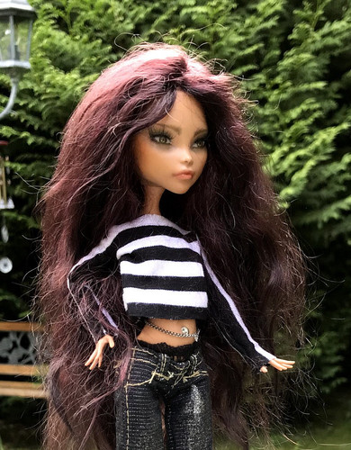 Monster high custom doll - high,