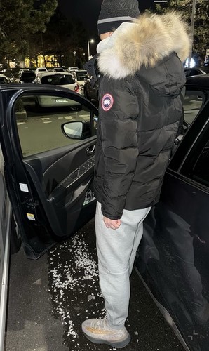 Canada goose wydnahm - canada,
