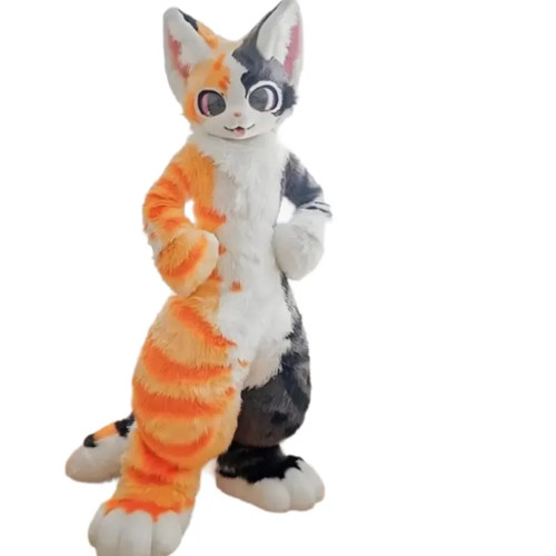 Calico katze - calico,