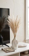 Threshold Artificial Pampas