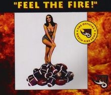 Feel the Fire von the Pyromaniacs by not specified | CD | condition good