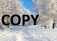 foto Digital Image Photo JPEG