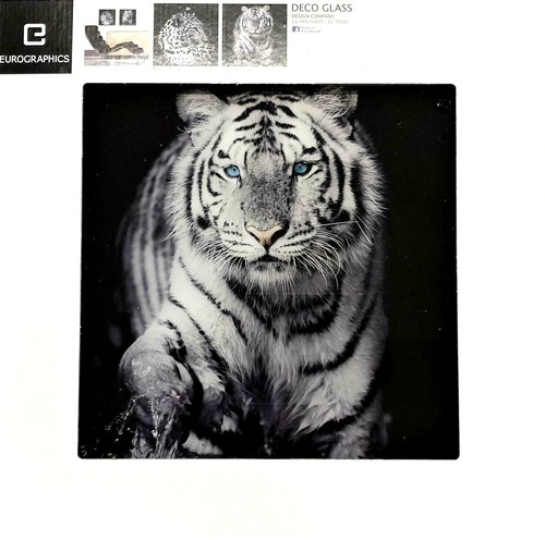 Eurographics glasbild - eurographics,