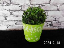 Tisch-Dekoration/Buxbaum/küns