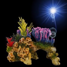 TOP Aquarium Deko 🍀 TRAUM