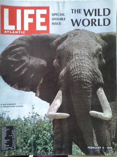 Life international magazine - international,