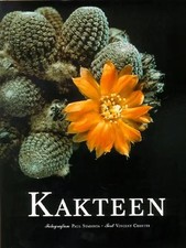 Kakteen