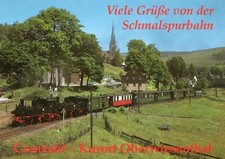 Ak Cranzahl-Oberwiesenthal, Traditionszug bei Hammerunterwiesenthal,Hobby-Jac.