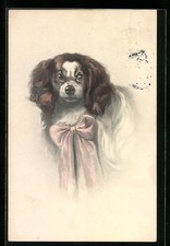 Pekinese mit einer rosa