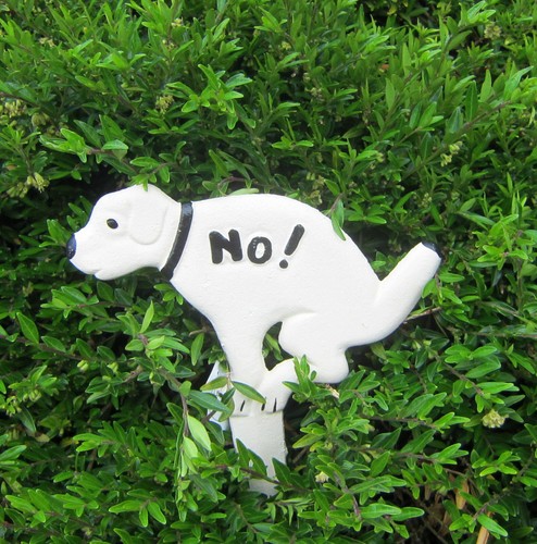 Kein hundeklo hinweisschild - hundeklo,