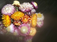 Getrocknete Strohblumen, Strauß Trockenblumen, Hochzeit, Kranz bunt ca. 30 cm