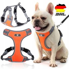 Hundegeschirr Und Leine Set