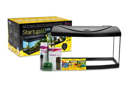 Diversa startup set led 54 - diversa,