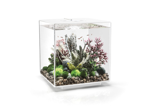 Biorb aquarium cube - 60, mcr