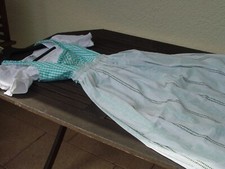 Hammerschmid, blau kariertes Dirndl mit Bluse und Schürze, bitte lesen