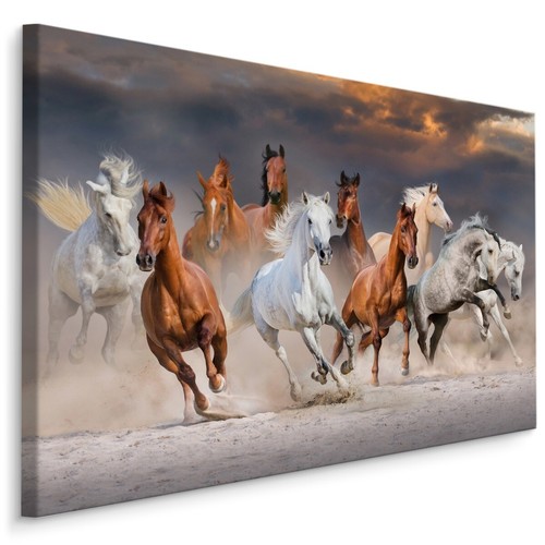 Canvas leinwand bilder xxl - canvas,