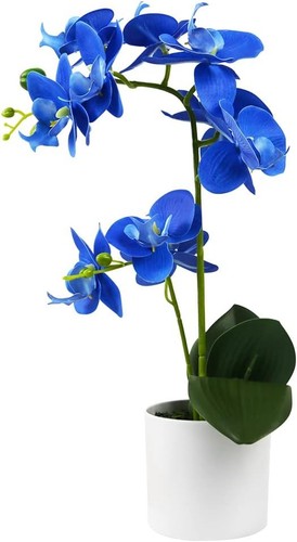 Hochwertige blaue
