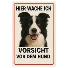 Hundeschild Border Collie
