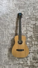 *Rar* E-Akustikgitarre Martin