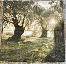 proflax kissenhülle 50 x 50 Motiv Herbstwald