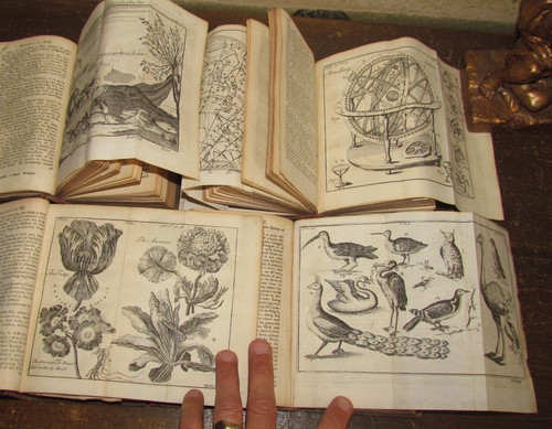 1739 nature delineated - 1739,